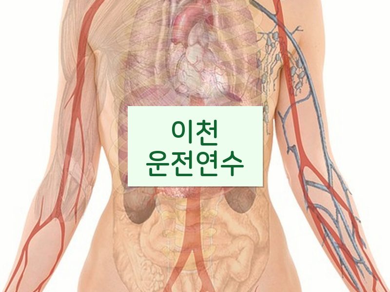 이천운전연수 후기