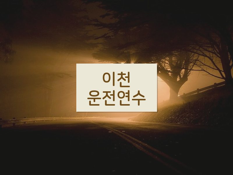이천운전연수 후기