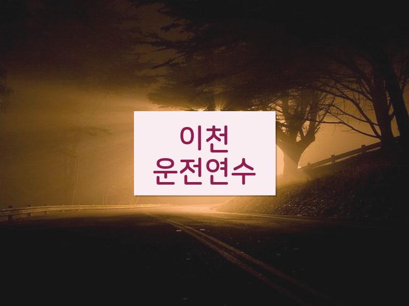 이천운전연수 후기