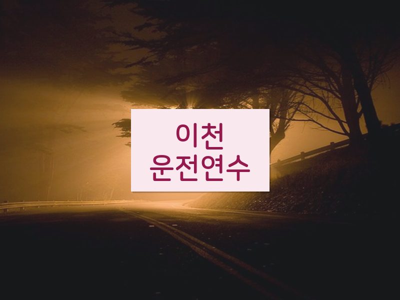 이천운전연수 후기