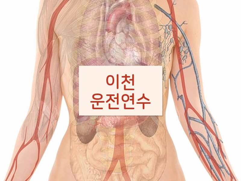 이천운전연수 후기