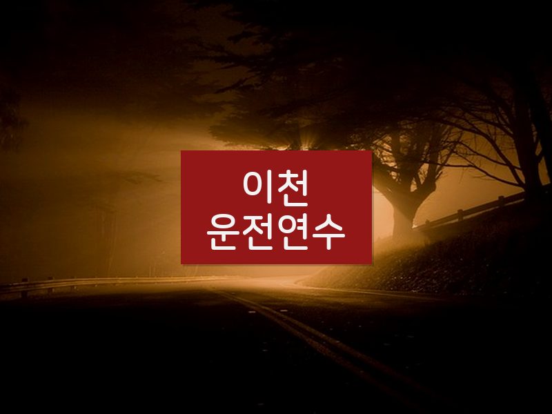 이천운전연수 후기