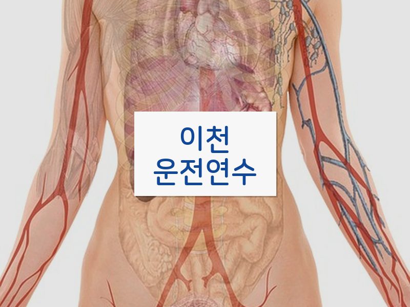 이천운전연수 후기