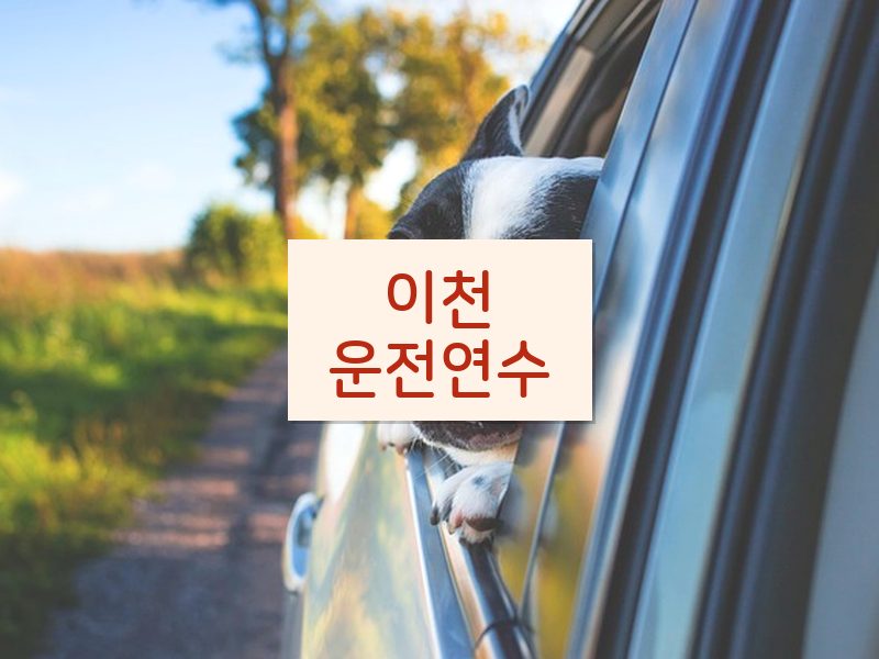 이천운전연수 후기