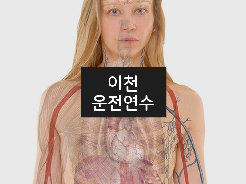 이천운전연수 후기