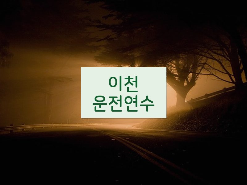 이천운전연수 후기