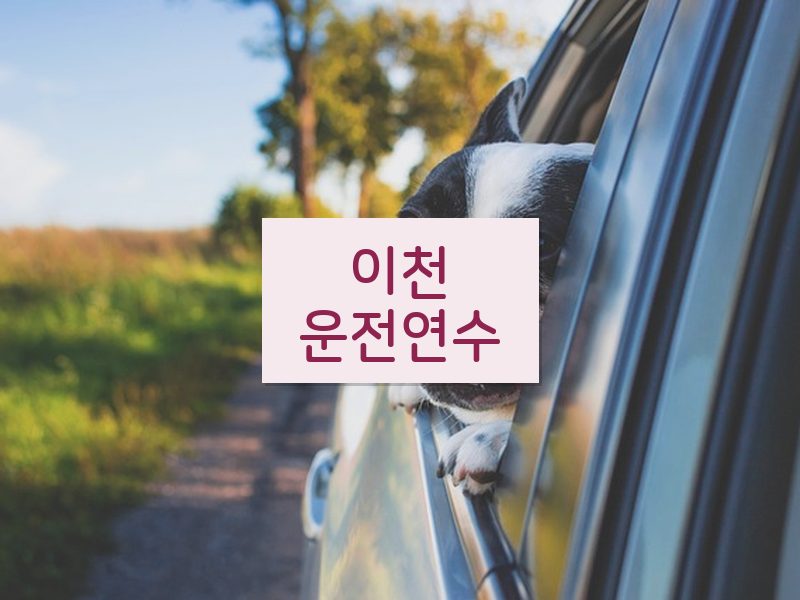 이천운전연수 후기