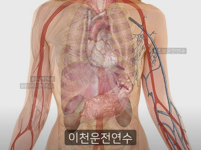 이천운전연수 후기
