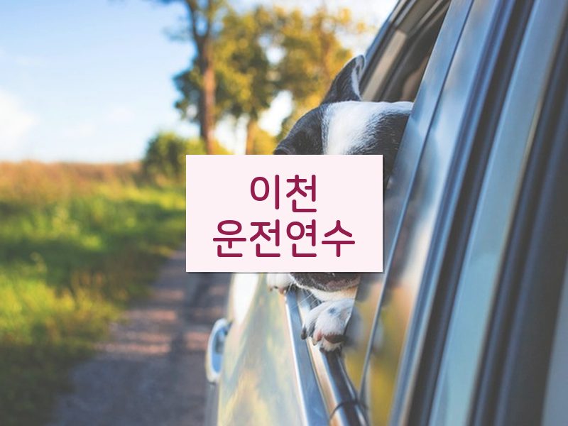 이천운전연수 후기