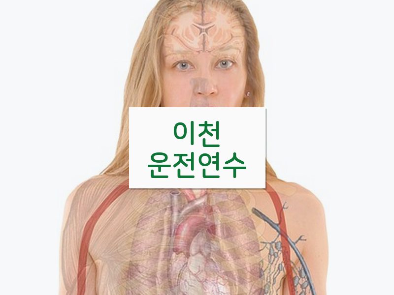 이천운전연수 후기