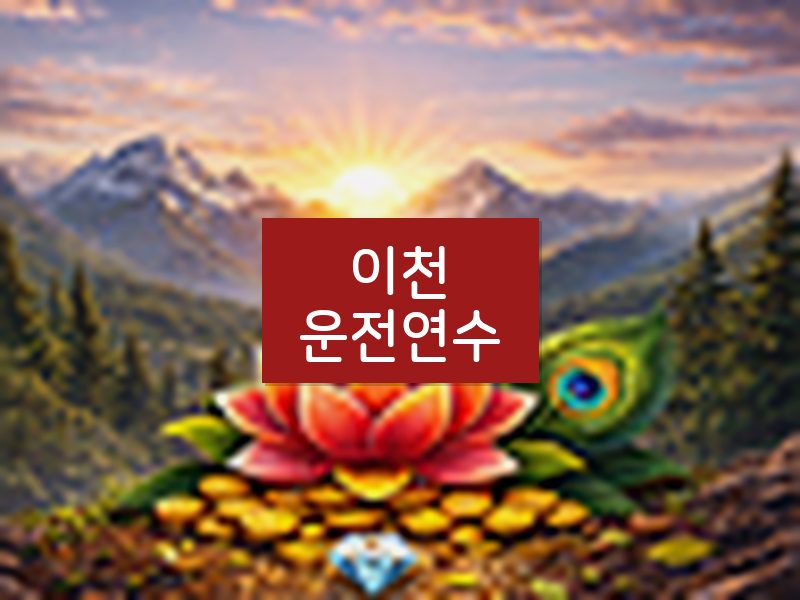이천운전연수 후기
