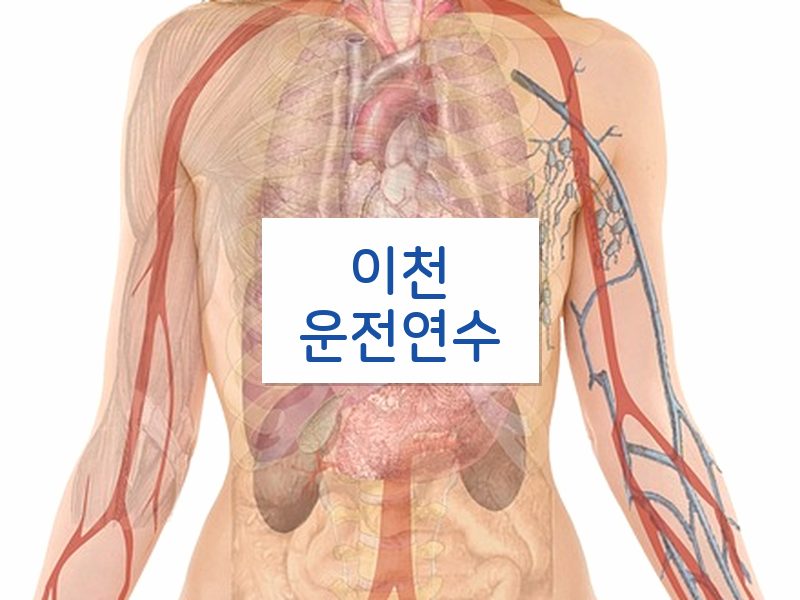 이천운전연수 후기