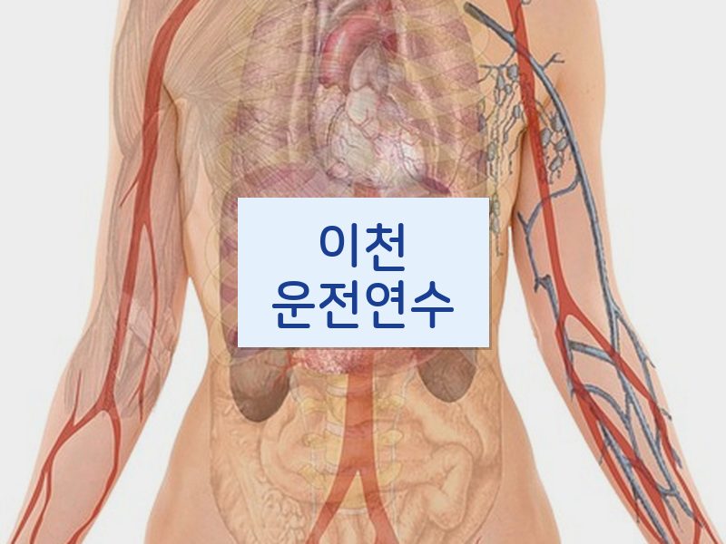 이천운전연수 후기