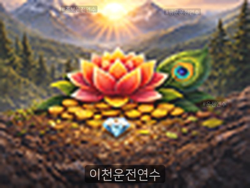 이천운전연수 후기