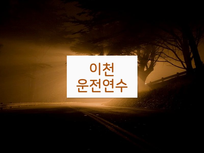 이천운전연수 후기
