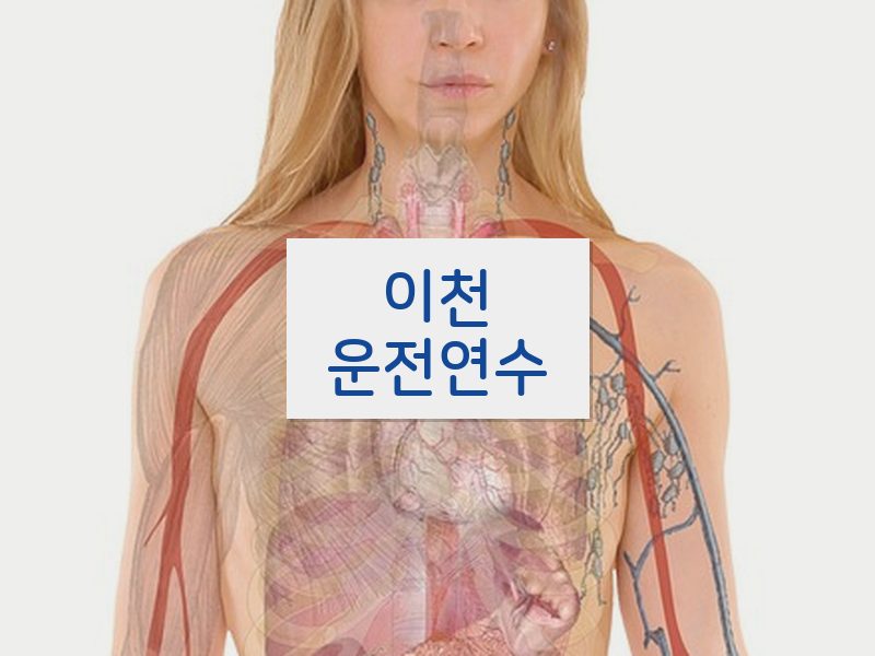이천운전연수 후기