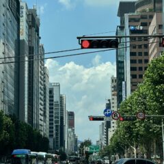 평행주차 드디어 성공