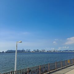 운전 스트레스 제로