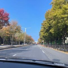 처음 드라이브 스루