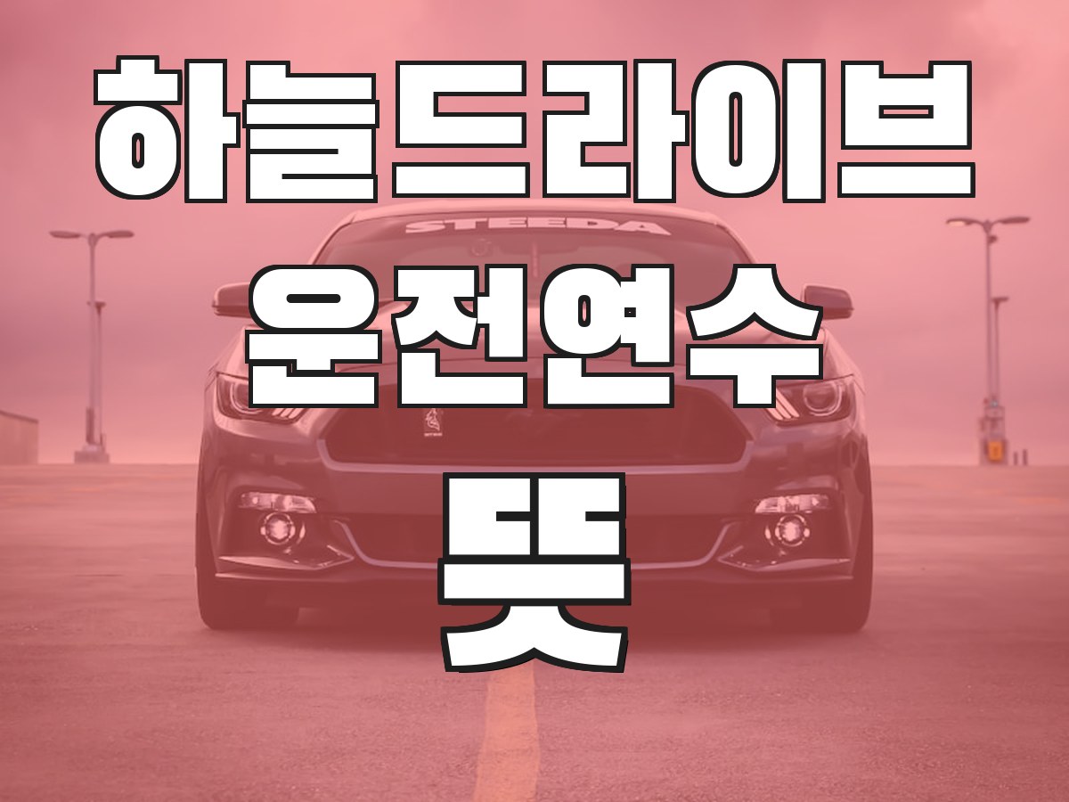 하늘드라이브 운전연수 뜻 - 운전연수의 의미와 필요성