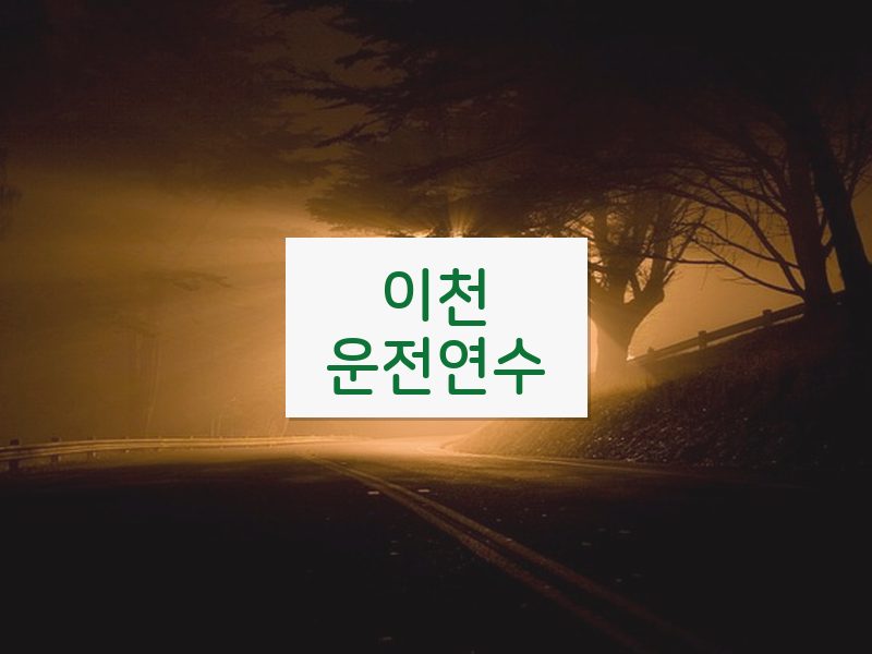 이천운전연수 후기